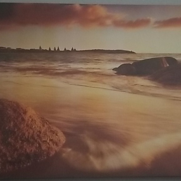 Meet your Posher, Samrawit - Picture 1 of 1